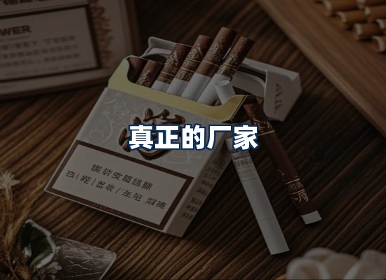 专业团队办公环境